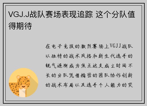 VGJ.J战队赛场表现追踪 这个分队值得期待